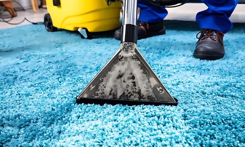 How Professional Carpet Cleaning Boosts Home Coziness