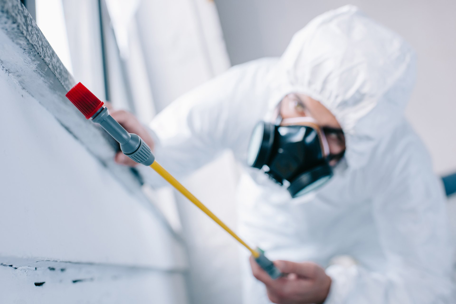 pest control and comprehensive Guide to Bed Bug Treatment